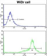 IGFBP6 Antibody (aa176-200)