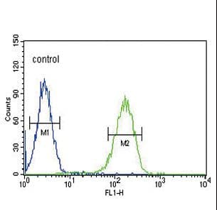 CACNA2D4 Antibody (aa89-118)