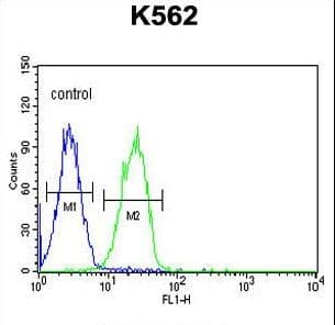CD300LF / CD300f Antibody (aa56-84)