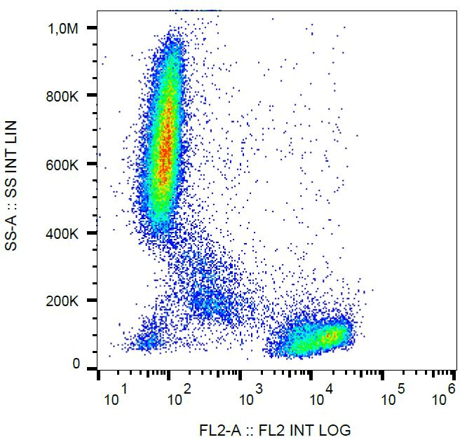 Monoclonal Mouse anti-Human CD2 Antibody (clone TS1/8, PE)