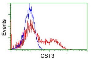CST3 / Cystatin C Antibody (clone OTI7G8, Carrier-free)