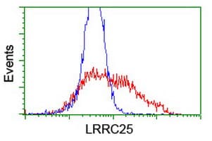 LRRC25 Antibody (clone OTI2A3)