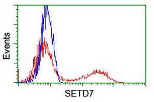 SETD7 / SET7 Antibody (clone OTI5B11)
