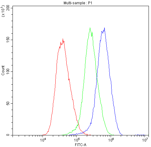 CTNNA1 / Catenin Alpha-1 Antibody (DY488)