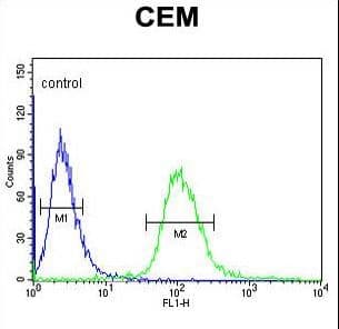 UTY Antibody (aa1247-1276)