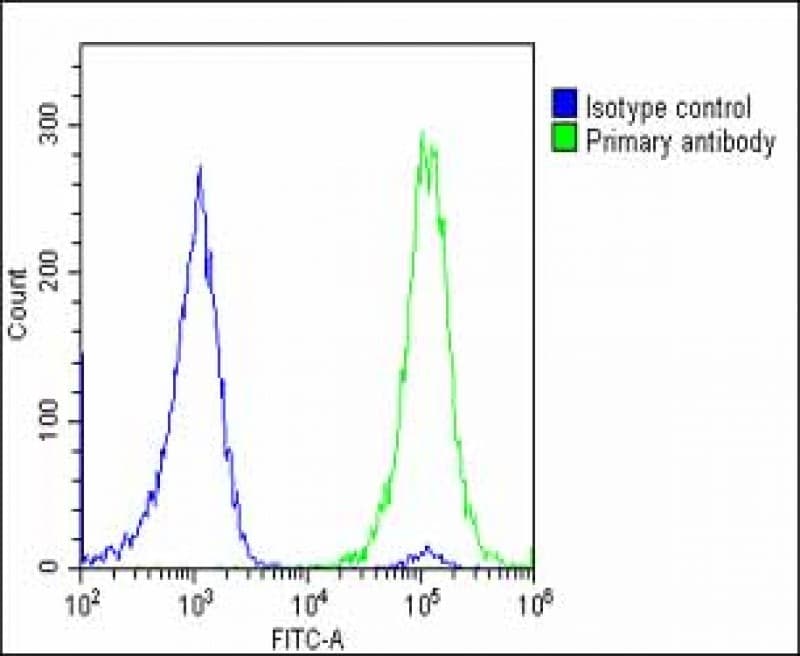 SLC2A3 / GLUT3 Antibody (C-Terminus)
