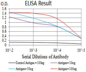 Monoclonal Mouse anti-Human ALCAM / CD166 Antibody (clone 3D9F1, IHC, WB)
