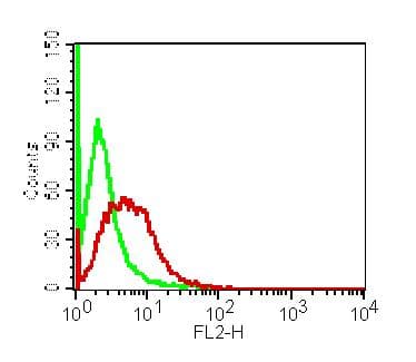 IL23R Antibody