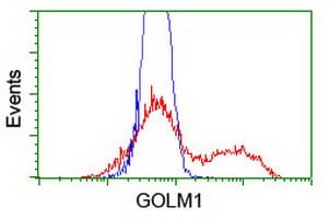 GOLM1 / GP73 / GOLPH2 Antibody (clone OTI5F4)