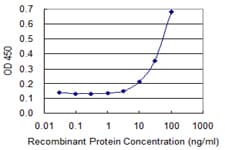 EZR / Ezrin Antibody (clone 1E11)