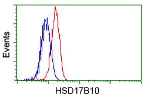 HSD17B10 / HADH2 Antibody (clone OTI11A2, Carrier-free)