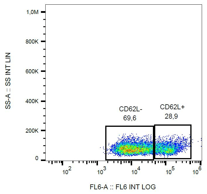 Monoclonal Mouse anti-Human SELL / L-Selectin / CD62L Antibody (clone LT-TD180, APC)