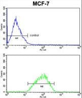 DERL2 / Derlin-2 Antibody (aa191-218)