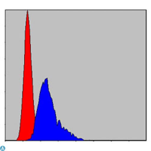 CCT2 / CCT Beta Antibody