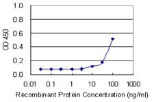 GTF2H4 / TFB2 Antibody (clone 4F6)