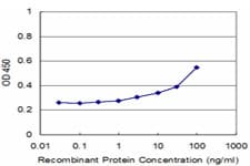 UGT2B4 Antibody (clone 2H6)