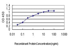 IHC-plus™ Monoclonal Mouse anti-Human YY1 Antibody (clone 4D2, IHC, IF, WB)