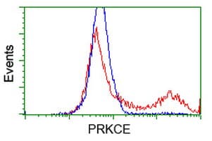 PRKCE / PKC-Epsilon Antibody (clone OTI1G5)