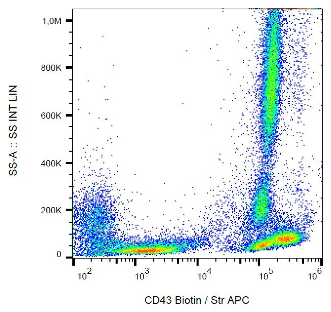 Monoclonal Mouse anti-Human SPN / CD43 Antibody (clone MEM-59, Biotin, IHC, WB)