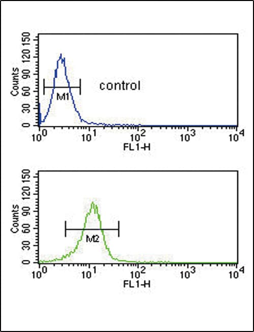 Polyclonal Rabbit anti-Human CD40L Antibody (aa33-62, IHC, IF, WB)
