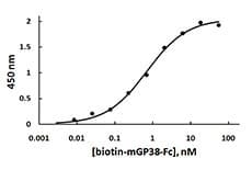 Mouse CLEC1B / CLEC-2 Protein (Recombinant)