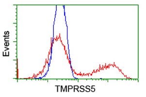 TMPRSS5 Antibody (clone OTI4A11)