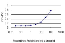 IQGAP1 Antibody (clone 2C5)