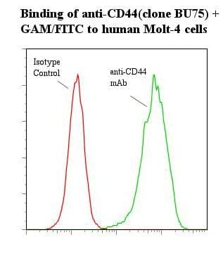 CD44 Antibody (clone BU75)