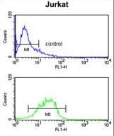 IGFALS / ALS Antibody (aa308-335)
