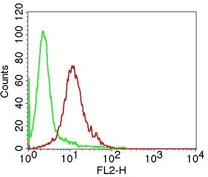 NFKBIA / IKB Alpha / IKBA Antibody