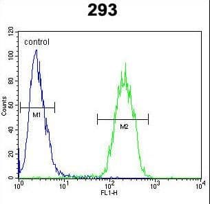 TNFRSF6B / DCR3 Antibody (aa22-48)