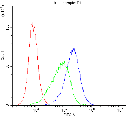 ABCB4 / MDR3 Antibody (aa601-720)