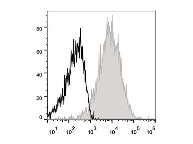 ICAM-1 / CD54 Antibody (clone YN1/1.7.4, APC)