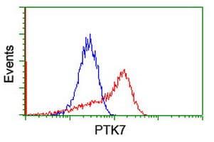 CCK4 / PTK7 Antibody (clone OTI2E7)