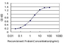 IKBKG / NEMO / IKK Gamma Antibody (clone 4G9)