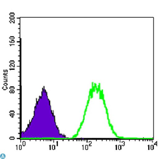 BLNK Antibody