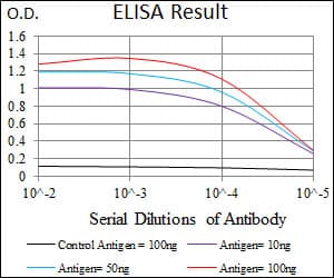 IHC-plus™ ITGB4 / Integrin Beta 4 Antibody (aa1619-1822, clone 10B10D5)
