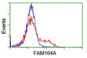 FAM164A / CGI-62 Antibody (clone OTI4C1)