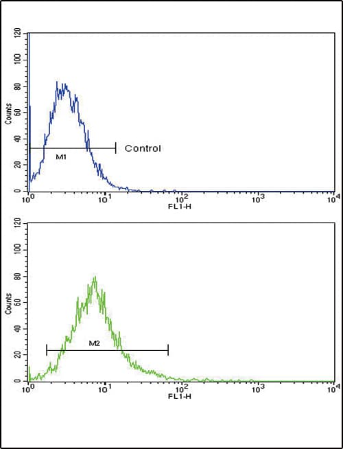 ATF6 Antibody (aa350-377)