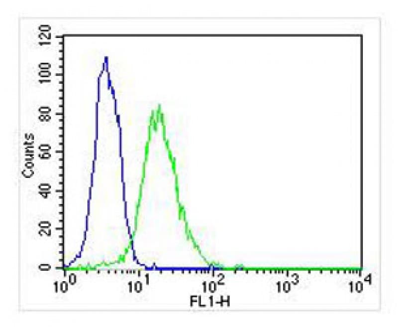 Monoclonal Mouse anti-Human DENR / Density Regulated Antibody (clone 1542CT106.51.79, IHC, IF, WB)