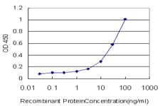 MSH6 Antibody (clone 1F2)