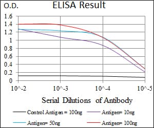 Monoclonal Mouse anti-Human MRPL42 / MRPS32 Antibody (clone 3H6H2, aa10-142, IHC, WB)