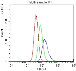 Polyclonal Rabbit anti-Human PECAM-1 / CD31 Antibody (aa28-382, IHC, WB)