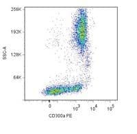 CD300A Antibody (clone MEM-260, PE)