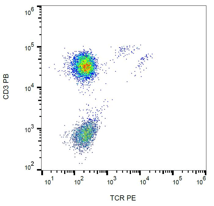 TCR Gamma + TCR Delta Antibody (clone B1, PE)