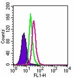 TLR3 Antibody (clone 40C1285.6)