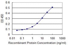 DUSP1 / MKP1 Antibody (clone 4H7)