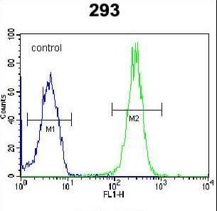 LRRC57 Antibody (aa198-227)
