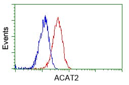 ACAT2 Antibody (clone OTI5F7)