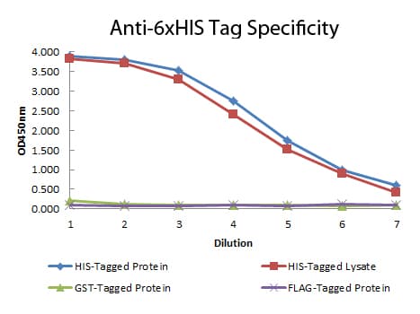 Monoclonal Mouse His Tag Antibody (clone 33D10.D2.G8, Biotin, IHC, WB)